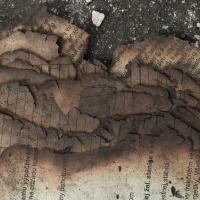Photo Textures of Paper Burnt
